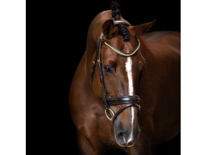 Uzdečka IRH, Hnědá