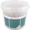 Echinacea – stimuluje imunitní systém, 1 kg