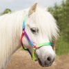 Ohlávka Waldhausen, neon multicolor, pony a shetty (Velikost PONY, Barva neon multicolor)