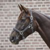 Ohlávka Crystal Waldhausen (Velikost PONY, Barva black)