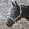 Ohlávka Crystal Waldhausen (Velikost PONY, Barva black)
