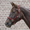 Ohlávka Crystal Waldhausen (Velikost PONY, Barva black)