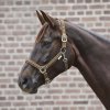 Ohlávka Crystal Waldhausen (Velikost PONY, Barva black)