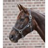 Ohlávka Crystal Waldhausen (Velikost PONY, Barva black)