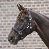 Ohlávka Crystal Waldhausen (Velikost PONY, Barva black)