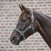 Ohlávka Crystal Waldhausen (Velikost PONY, Barva black)