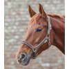 Ohlávka Crystal Waldhausen (Velikost PONY, Barva black)