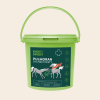 Pulmoran pro koně 1000g ROOT SNOOT