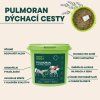 Pulmoran pro koně 1000g ROOT SNOOT