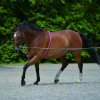 Lonžovací postroj, jednoduchý (Velikost PONY, Barva black)