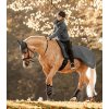 Drezurní chrániče Comfort (Velikost L, Barva black/nature)