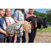Hobby Horse Apolosa HKM