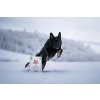 Brit Care Dog Sustainable Activity 3 kg