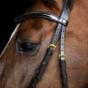 Anglická uzdečka IHR, brown