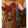 388001 15 product 01 1920x1920