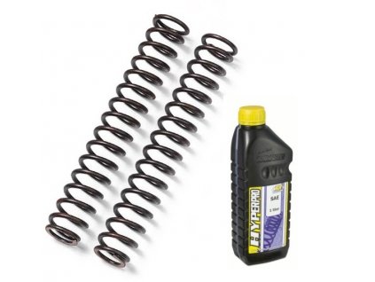 KAWASAKI NINJA 250 R  08-12 HYPERPRO Lineárne pružiny KIT SL-KA02-SSA004