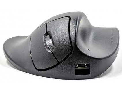 handshoe-mouse-dratova-mys-medium--m2wblc-
