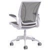 office-chair-diffrient-world--w16wn10n10s