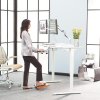 humanscale-float-height-adjustable-work-desk-silver-fnsm42r