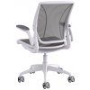 office-chair-diffrient-world--w11wn10n10s