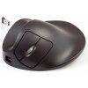 handshoe-mouse-small-bezdratova-mys-levoruka--ls2ul