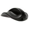 handshoe-mouse-small-bezdratova-mys-levoruka--ls2ul