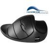 handshoe-mouse-large-bezdratova-mys--l2ub-lc