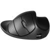handshoe-mouse-large-bezdratova-mys--l2ub-lc
