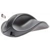 handshoe-mouse-large-bezdratova-mys--l2ub-lc