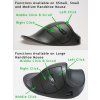 handshoe-mouse-large-bezdratova-mys-levoruka--ll2ul