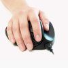 handshoe-mouse-large-bezdratova-mys-levoruka--ll2ul