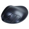 handshoe-mouse-large-dratova-mys-levoruka--ll2wl