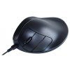 handshoe-mouse-large-dratova-mys-levoruka--ll2wl