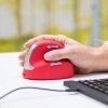 r-go-tools-he-sport-medium-wireless-mouse--rgoheredr