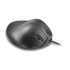 handshoe-mouse-extra-small-dratova-mys--xs2wb-lc