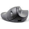 handshoe-mouse-extra-small-dratova-mys--xs2wb-lc