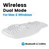 bezdratova-bluetooth-klavesnice-split-bila--11615