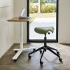 humanscale-freedom-active-pony-zidle-s-vyssim-pistem--F500BRM24FTKNSC