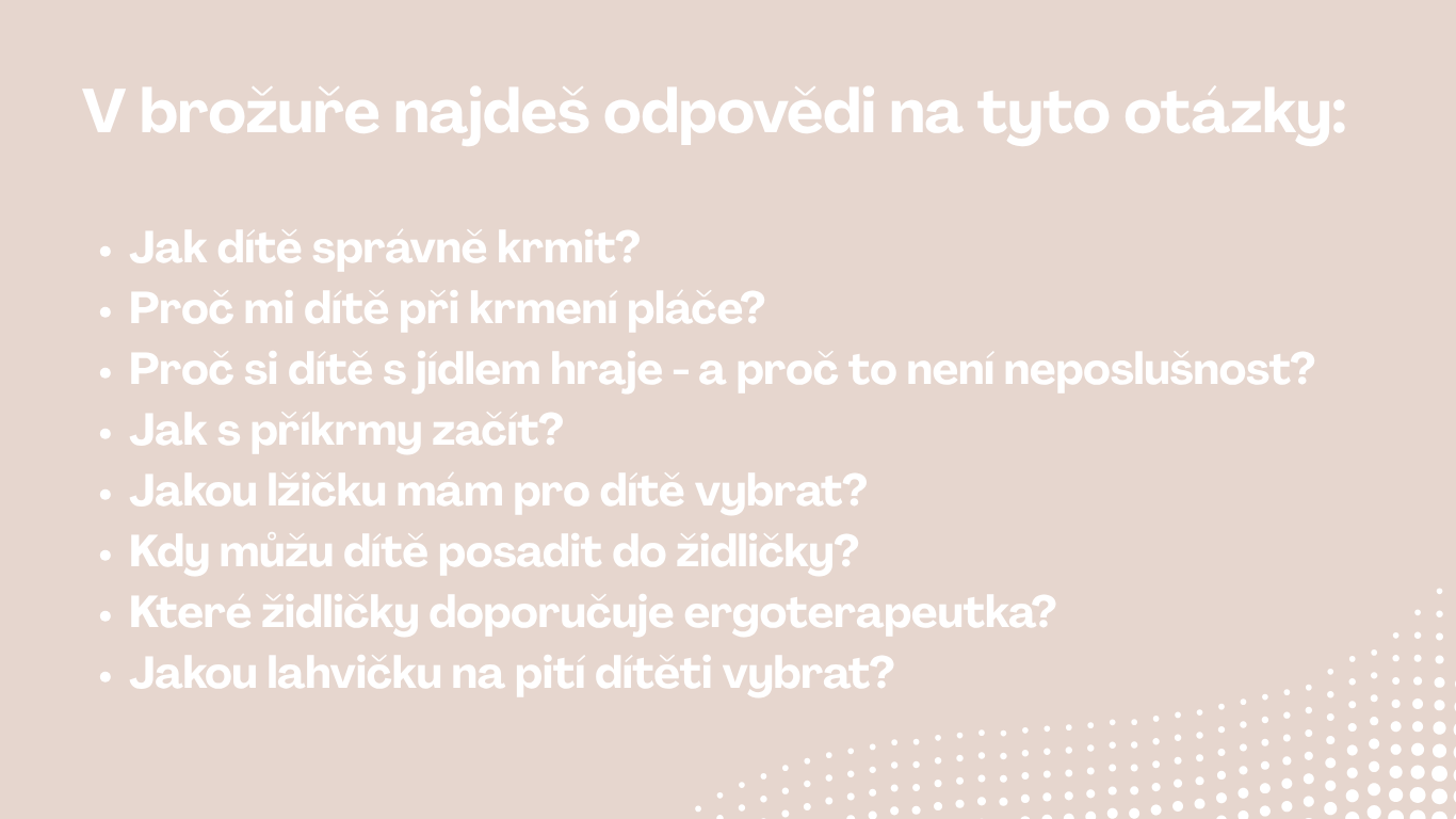 Průvodce