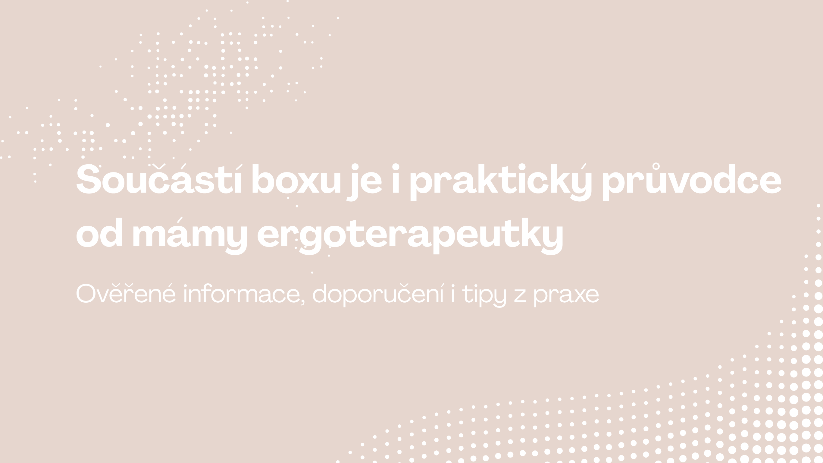 Průvodce