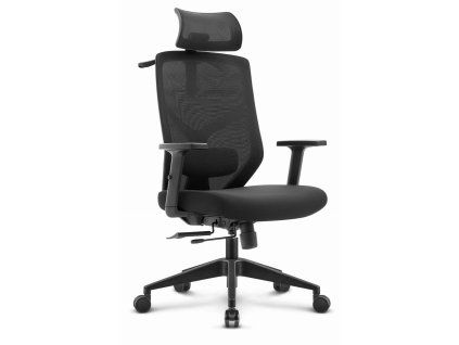 g2 391 1