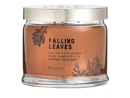 fh22 fallingleaves g73f2043 1