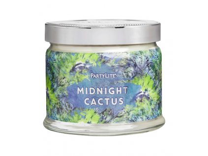 midnight cactus partylite