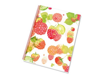 9743 sk blok a4 pozn college 50l linka linajkovy 50 listov php