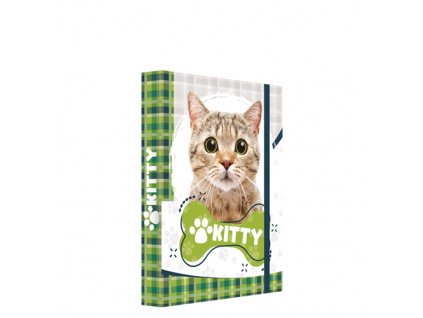 Box na zošity A5 Jumbo Kitty