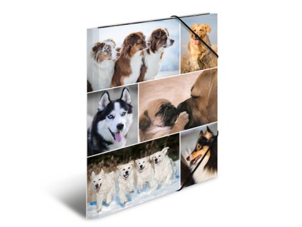 doska s gumickou a3 karton psy 00000