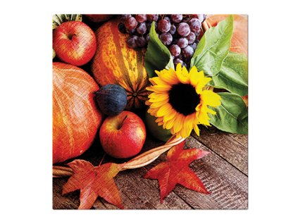 obrusky paw l 33x33cm autumn treasures
