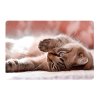 podlozka na stol 60x40 cm little cat