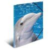 doska s gumickou pp a3 delphins