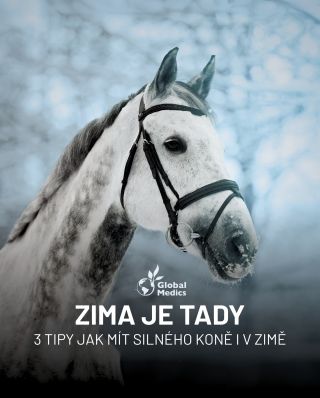 Zima je tady!❄️☃️ Zimní období klade na koně zvýšené nároky🚨 Chlad a vlhko mohou zatěžovat klouby i imunitu. 🐎 Dopřejte...